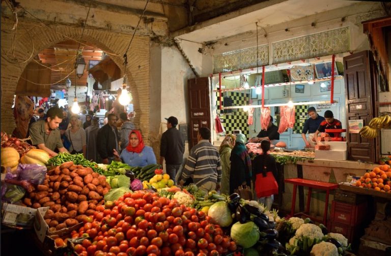 الحكومة تدعم الأسر بـ88 مليار درهم.. ووزيرة المالية: جهود غير مسبوقة لتحسين المعيشة